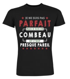 Je Ne Suis Pas Parfait Mais Je Suis Un Combeau  Et C'est Presque Pareil T-Shirt 1G