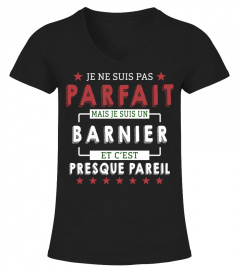 Je Ne Suis Pas Parfait Mais Je Suis Un Barnier  Et C'est Presque Pareil T-Shirt 1G