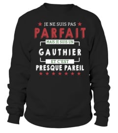 Je Ne Suis Pas Parfait Mais Je Suis Un Gauthier  Et C'est Presque Pareil T-Shirt 1G