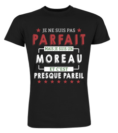 Je Ne Suis Pas Parfait Mais Je Suis Un Moreau  Et C'est Presque Pareil T-Shirt 1G