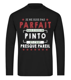 Je Ne Suis Pas Parfait Mais Je Suis Un Pinto  Et C'est Presque Pareil T-Shirt 1G