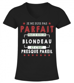 Je Ne Suis Pas Parfait Mais Je Suis Un Blondeau  Et C'est Presque Pareil T-Shirt 1G