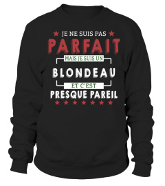 Je Ne Suis Pas Parfait Mais Je Suis Un Blondeau  Et C'est Presque Pareil T-Shirt 1G