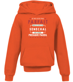 Je Ne Suis Pas Parfait Mais Je Suis Un Senechal  Et C'est Presque Pareil T-Shirt 1G