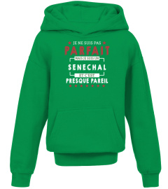 Je Ne Suis Pas Parfait Mais Je Suis Un Senechal  Et C'est Presque Pareil T-Shirt 1G