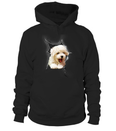 Bichon Frise 3D