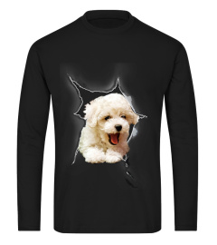 Bichon Frise 3D