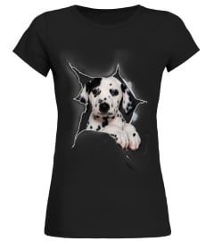 Dalmatian 3D