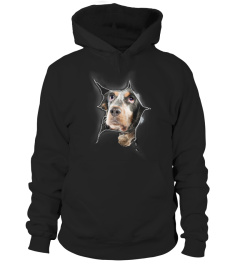 English Springer Spaniel 3D