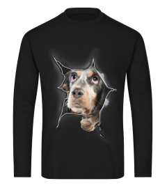 English Springer Spaniel 3D