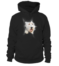 Old English Sheepdog 3D