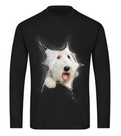 Old English Sheepdog 3D