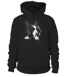 Cocker Spaniel  3D