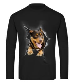 Australian Kelpie 3D