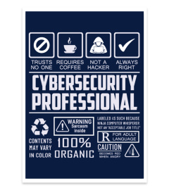 Cyber Security professional