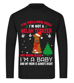 Welsh Terrier