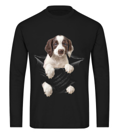 English Springer Spaniel Scratch New