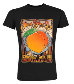 Allman Brothers Band Chicago