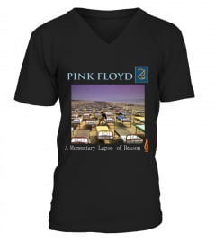COVER-113-BK. Pink Floyd - A Momentary Lapse of Reason