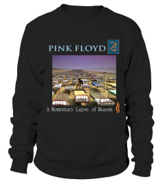 COVER-113-BK. Pink Floyd - A Momentary Lapse of Reason