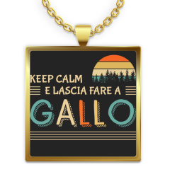 gallo-ita-213