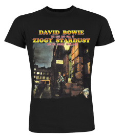 David Bowie – The Rise And Fall Of Ziggy Stardust And The Spiders From Mars