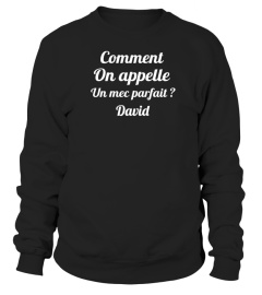 Comment on appelle un mec parfait ? David - Edition Limitée