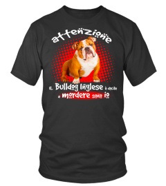 MIO BULLDOG INGLESE