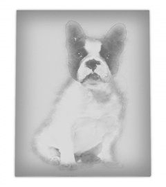 French Bulldog 13 months lover canvas wall art