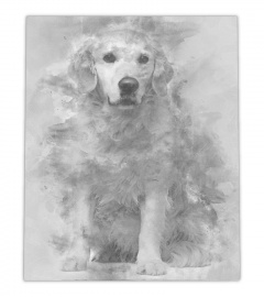 Golden Retriever 6 years old lover canvas
