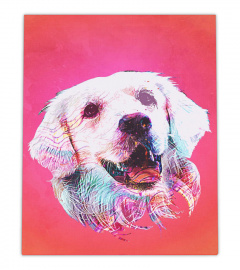 Golden Retriever Dog Pink Background Canvas Decor