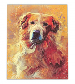 Golden Retriever cute dog face Canvas Decor