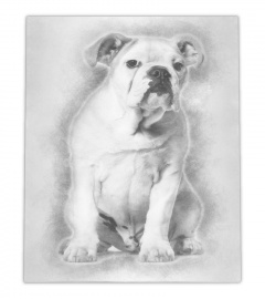 French Bulldog 5 months lover canvas wall art