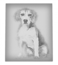 Beagle dog in portrait aga wall art poster