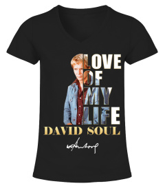 LOVE OF MY LIFE - DAVID SOUL