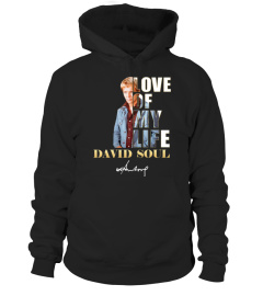 LOVE OF MY LIFE - DAVID SOUL