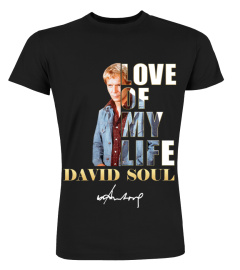 LOVE OF MY LIFE - DAVID SOUL