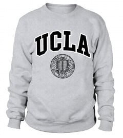 college uni sport gray sweater
