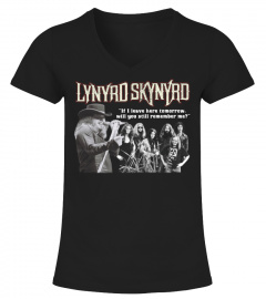 LYNYRD SKYNYRD - "IF I LEAVE HERE TOMORROW..." FREE BIRD