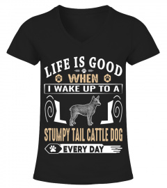 I wake up to a Stumpy tail cattle dog