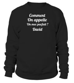 Comment on appelle un mec parfait ? David - Edition Limitée