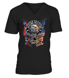LYNYRD SKYNYRD - SIMPLE MAN AND FREE BIRD