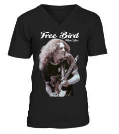 LYNYRD SKYNYRD - ALLEN COLLINS FREE BIRD