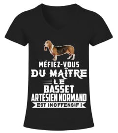 MÉFIEZ-VOUS DU MAÎTRE LE BASSET ARTÉSIEN NORMAND