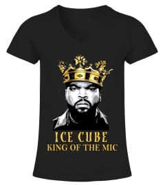 RP230-010-BK. Ice Cube  (3)