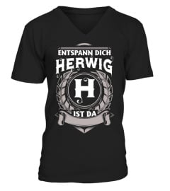 herwig-gno1-m2-76