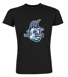 Hartford Yard Goats Under Armour Wordmark Hoodie