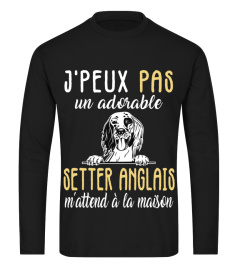 J'Peux Pas un Adorable Setter Anglais