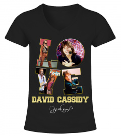 LOVE DAVID CASSIDY