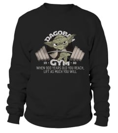 Yoda's Dagobah Gym